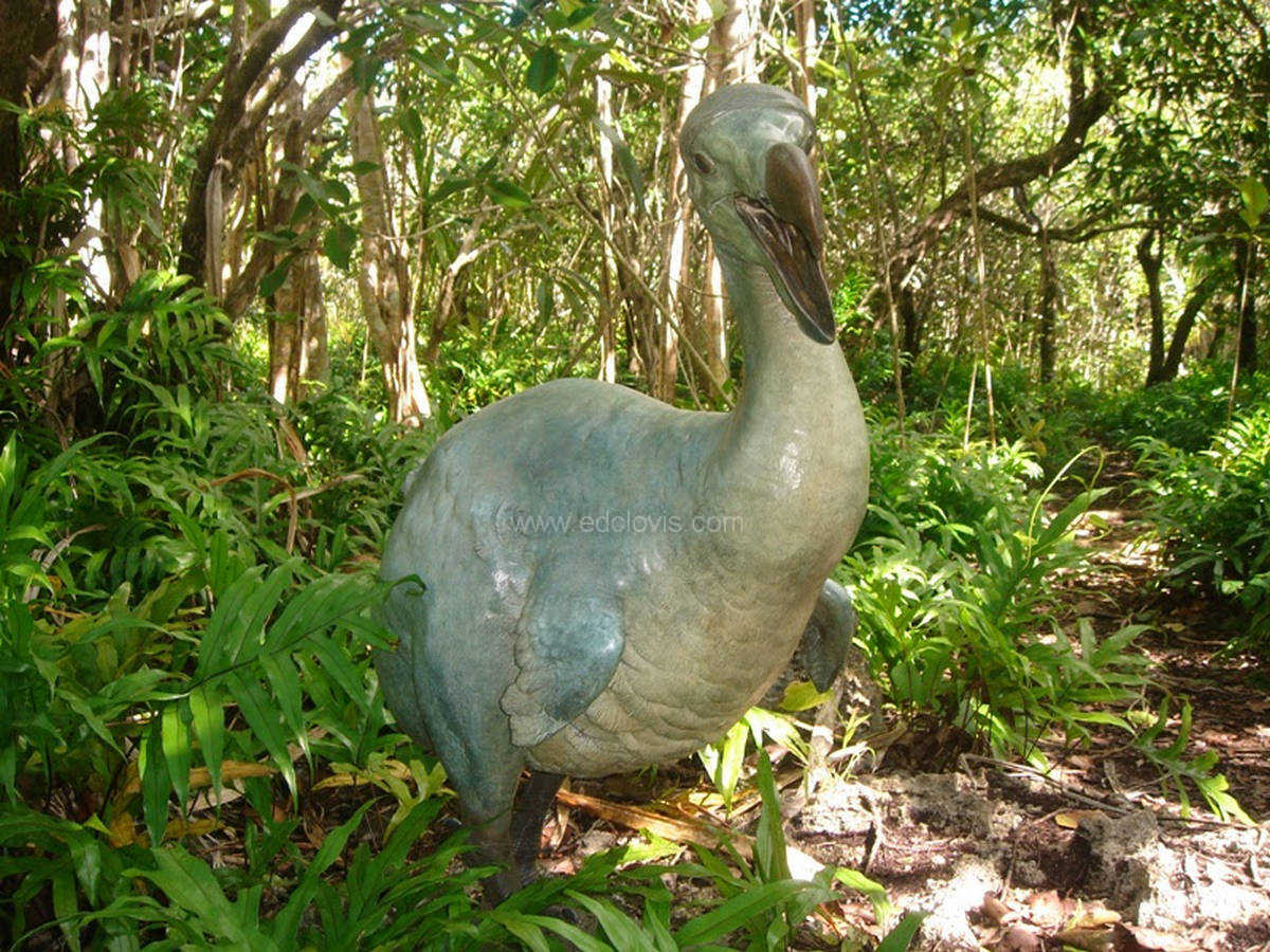 le dodo, ile maurice