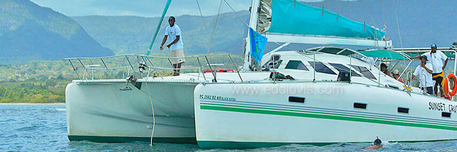 Catamaran for dolphin watch mauritius